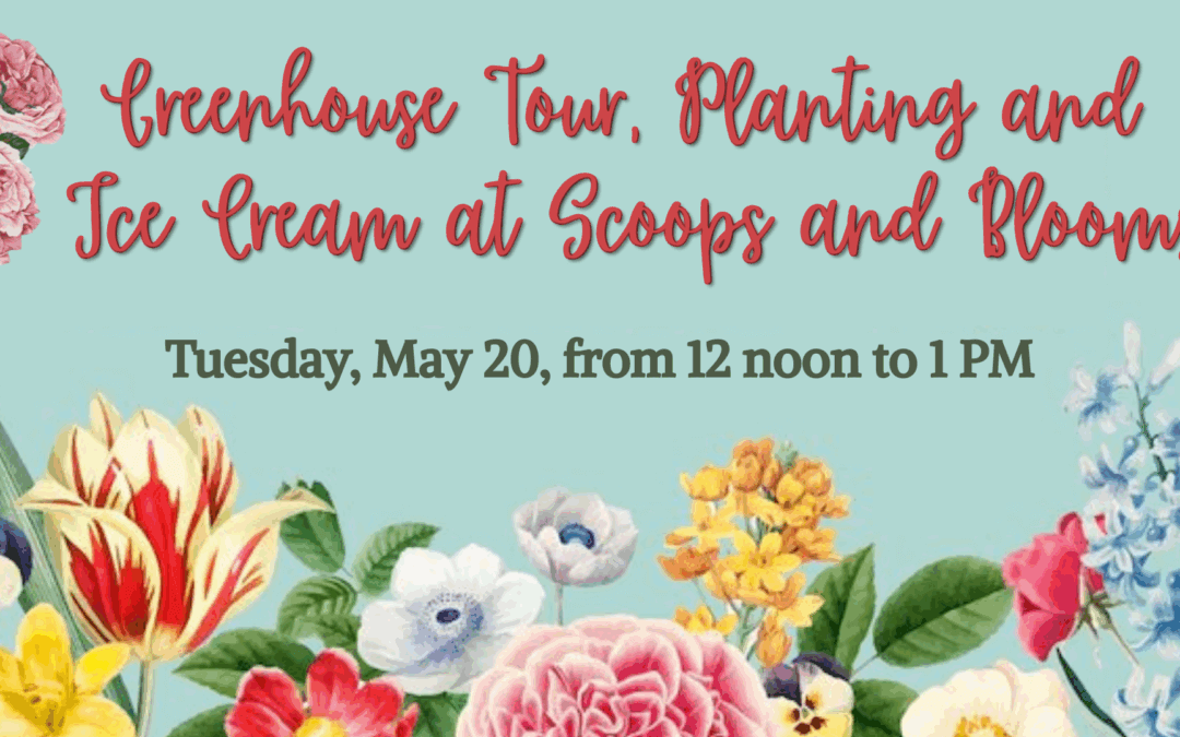 Kids Explore: Greenhouse Tour, Planting and Ice Cream at Scoops and Blooms