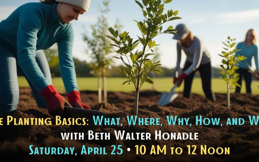 Tree Planting Basics: What, Where, Why, How, and When