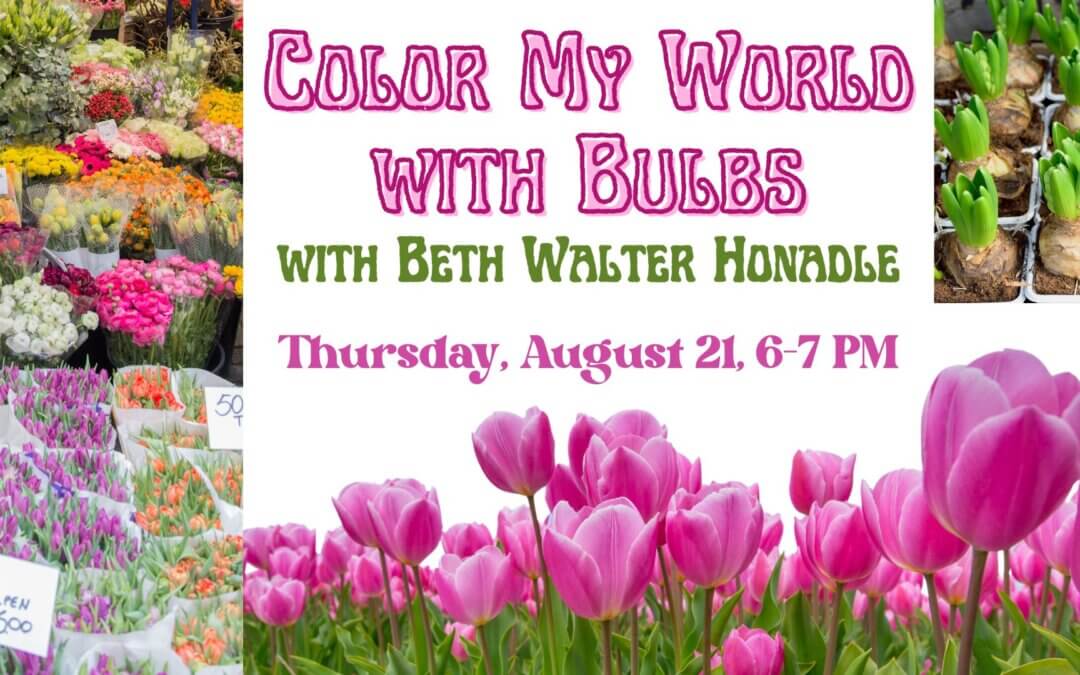 Color my World with Bulbs with Beth Walter Honadle