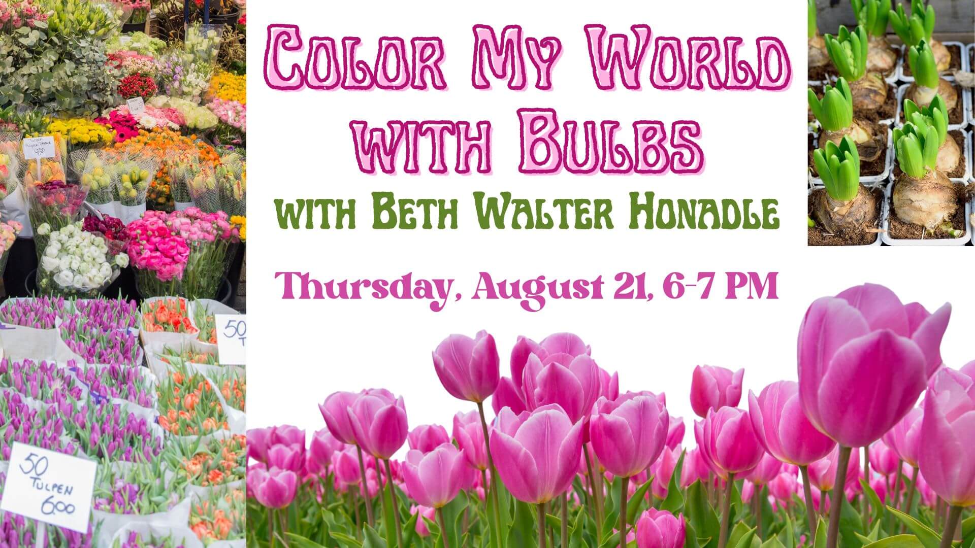 bulbs (Presentation)